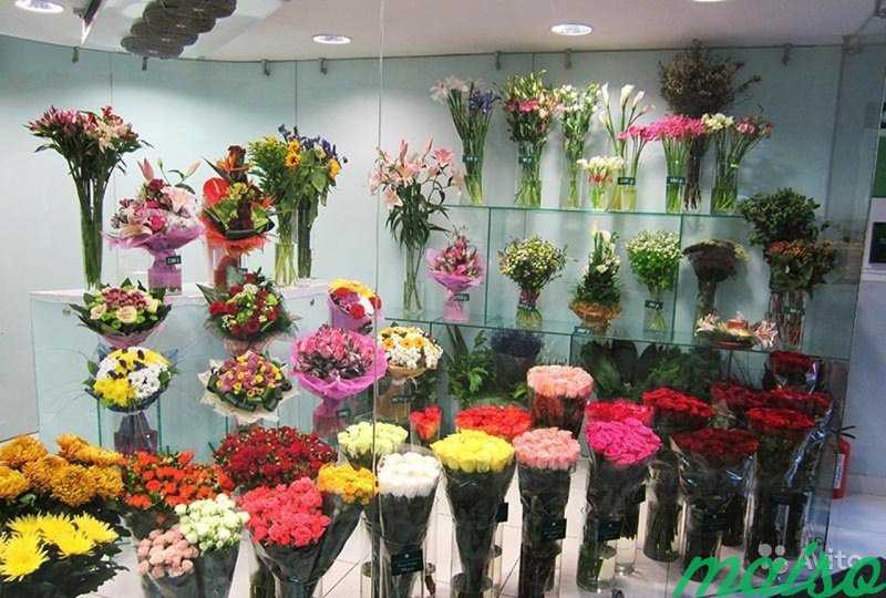 Где Купить Живые Цветы В Москве