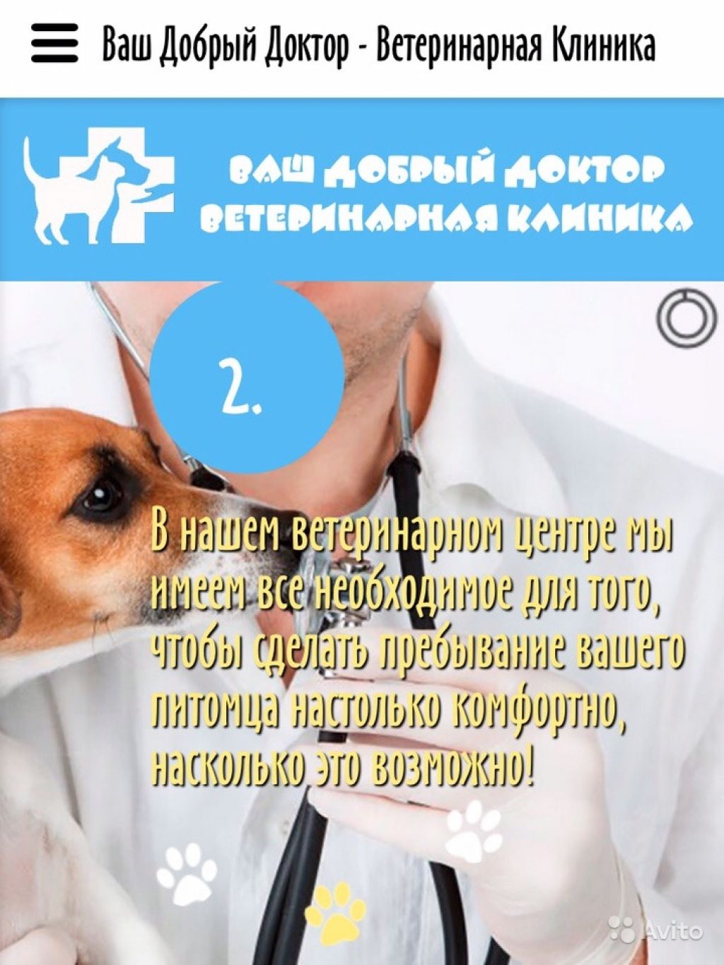Ветеринарный врач в Москве. Фото 1