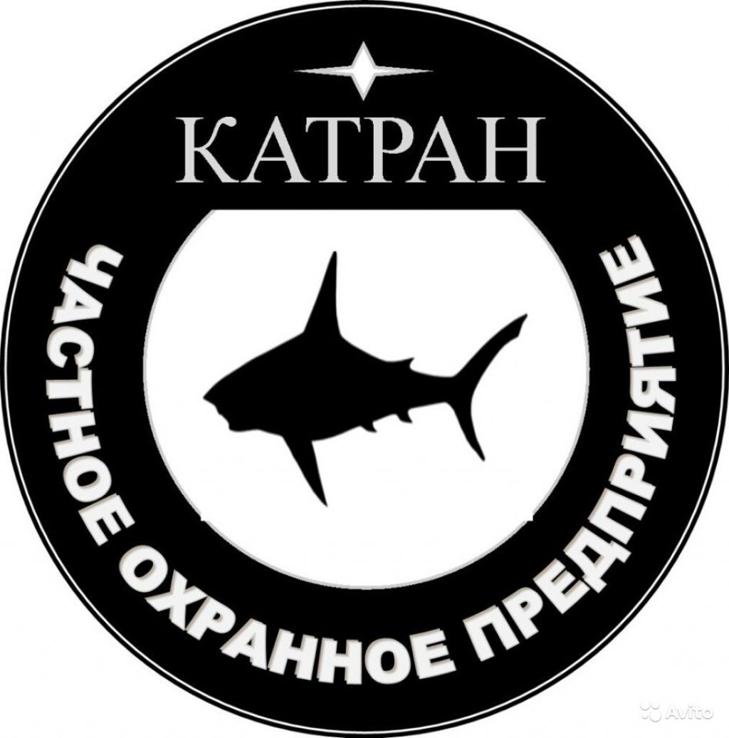 Ооо катран. Катран акула. Чоп Катран. Катран акула черного моря. Балтийский Катран.