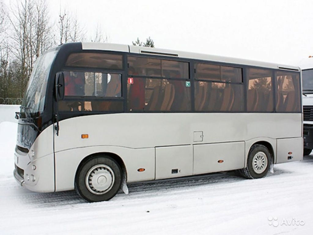 Автобус маз 241030 в Москве. Фото 1