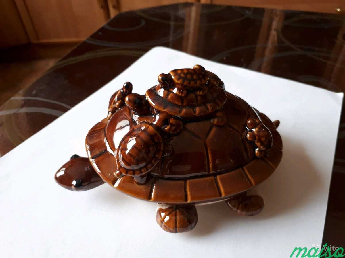 Черепаха(керамика) подарочная в Москве. Фото 3