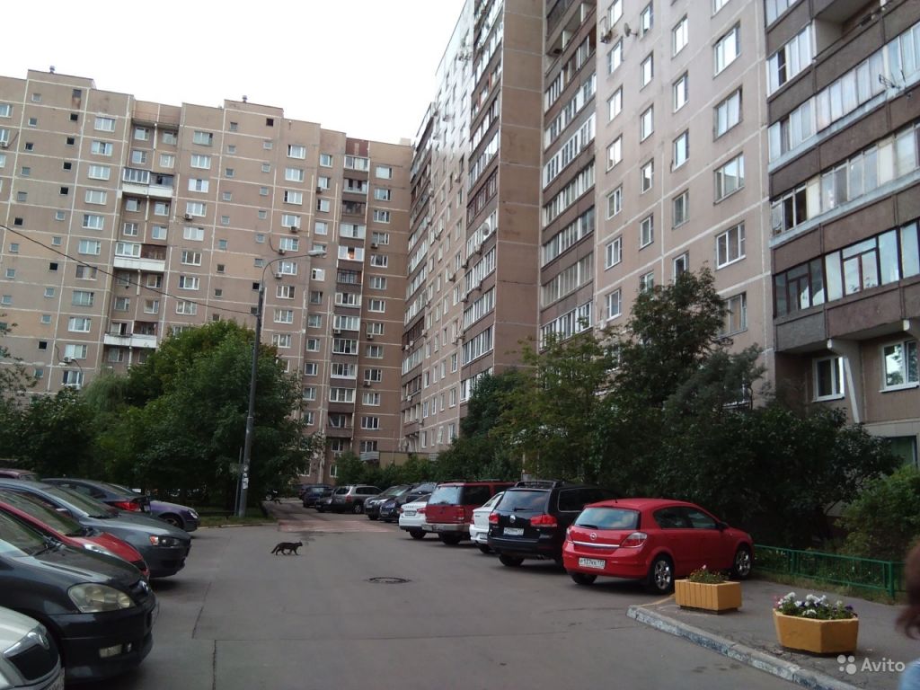 4-к квартира, 85.2 м², 2/14 эт. в Москве. Фото 1