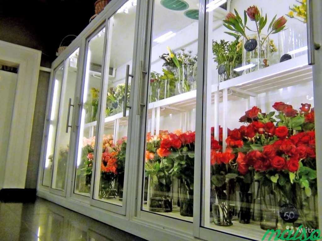 Холодильная камера для цветов в Москве. Фото 8