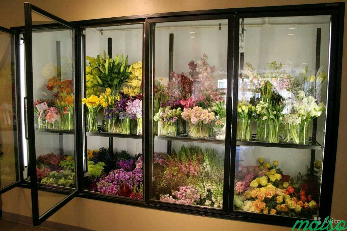 Холодильная камера для цветов в Москве. Фото 9