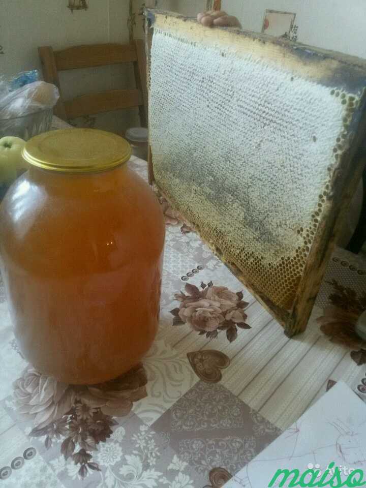 Цветочный мед 3 литра в Москве. Фото 1