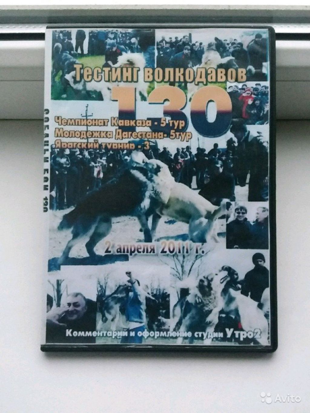 Собачьи-бои в Москве. Фото 1