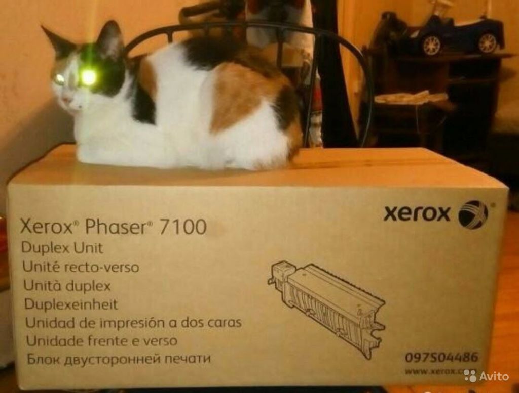 Блок формирования изображения xerox phaser 7100