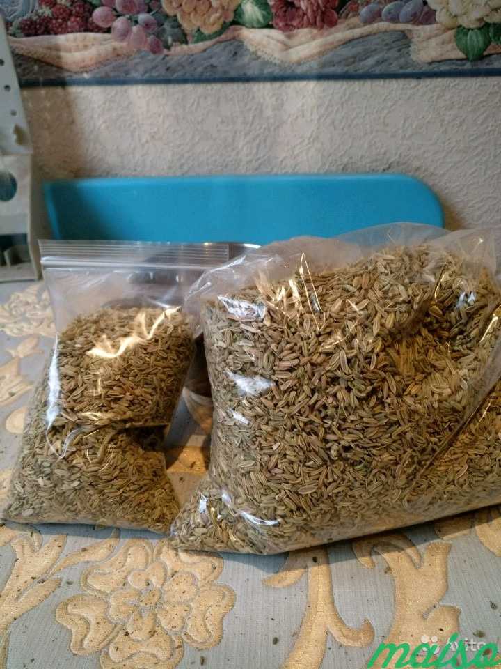 Фенхель семена, цена за 100г в Москве. Фото 1