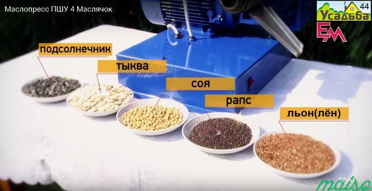 Маслопресс пшу-4. Пр-ть до 4 кг. масла в час в Москве. Фото 2