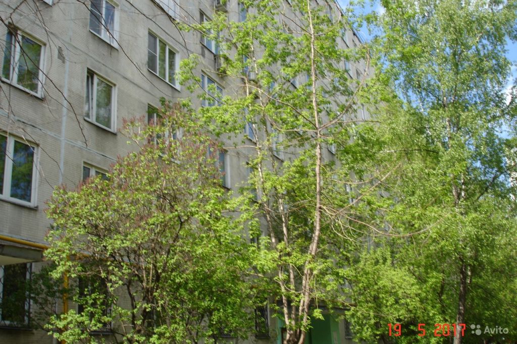Сдам квартиру 3-к квартира 64 м² на 7 этаже 12-этажного панельного дома в Москве. Фото 1