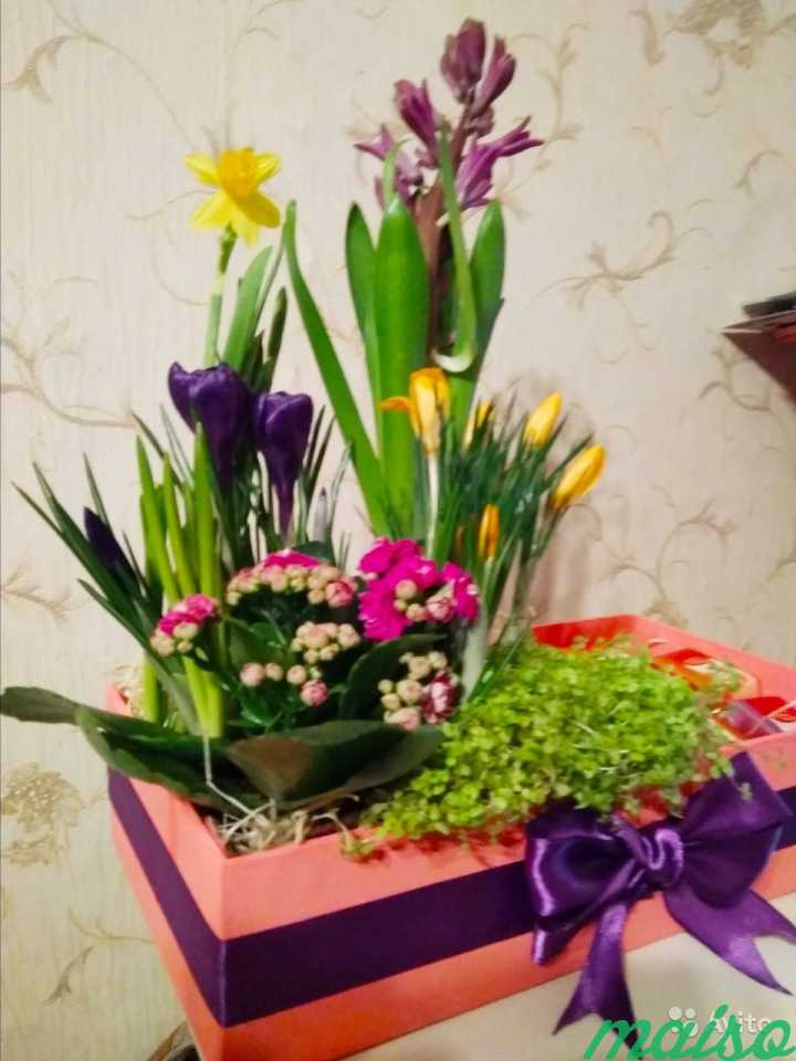 Шокобокс. Подарок на 8 марта в Москве. Фото 7