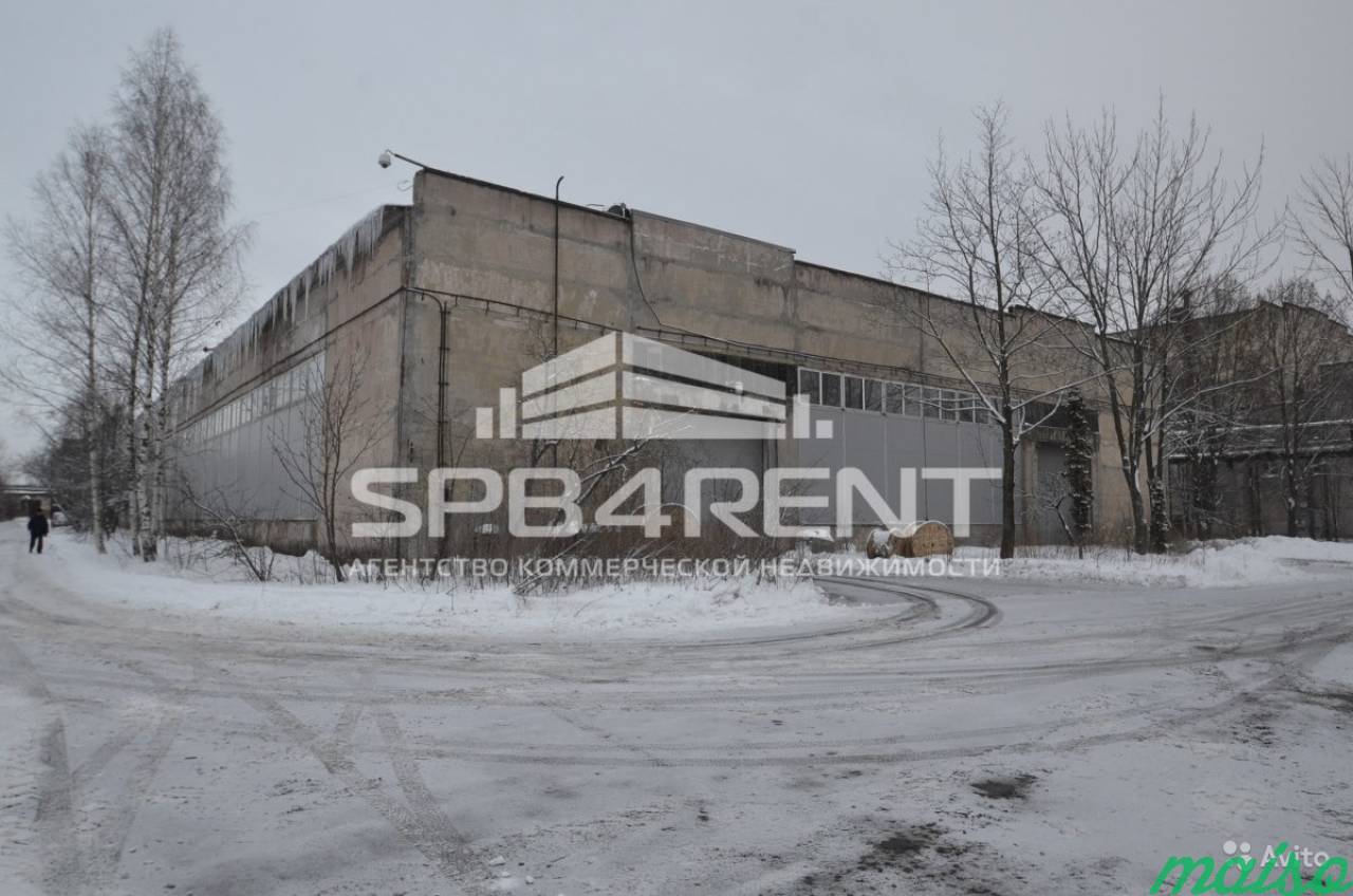 Производственное помещение, 5292 м² в Санкт-Петербурге. Фото 4