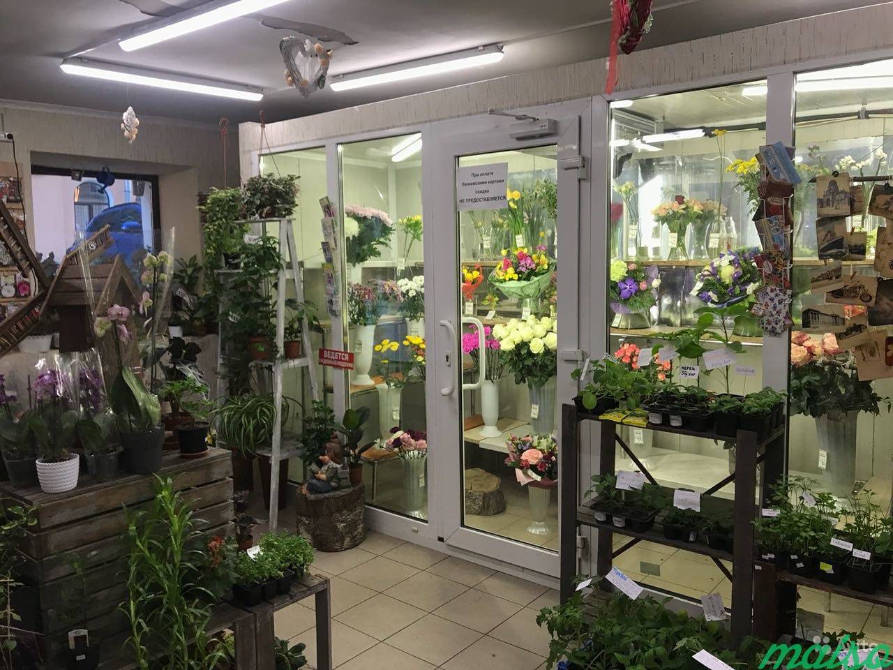 Магазин цветов воткинск cvbaza. Цветочный магазин. Интерьер цветочного магазина. Помещение для цветов. Растения в цветочном магазине.