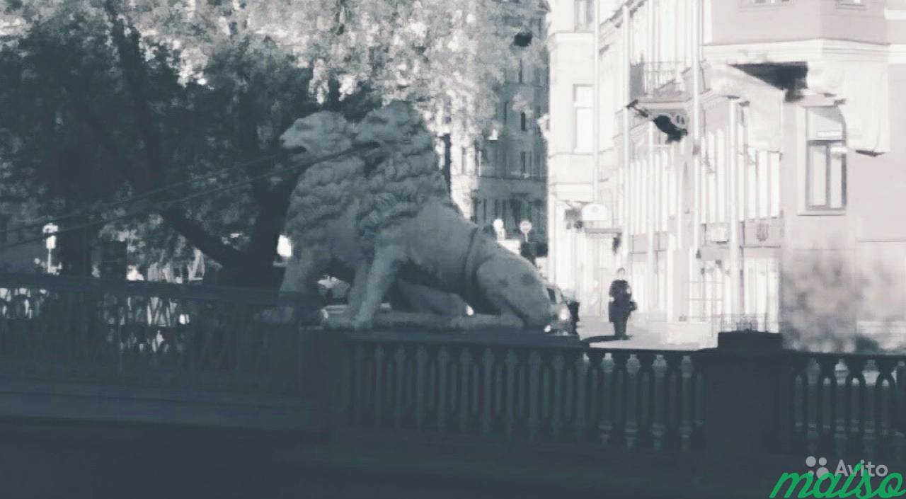 Видовое помещение у Львиного мостика в Санкт-Петербурге. Фото 2