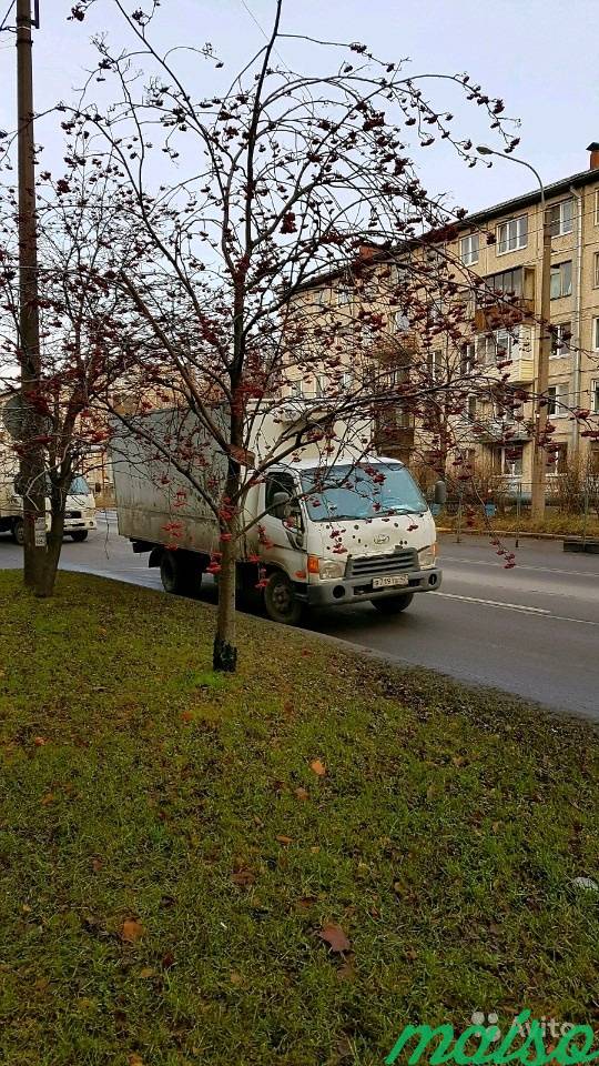 Хундай HD72 рефрижератор грузовик с Работой в Санкт-Петербурге. Фото 4