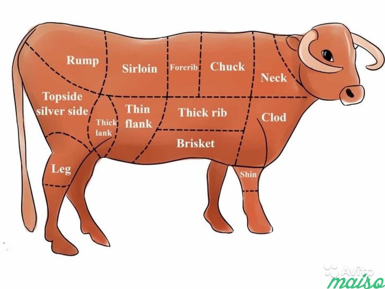 Цельная корова на схеме разделки 4 буквы