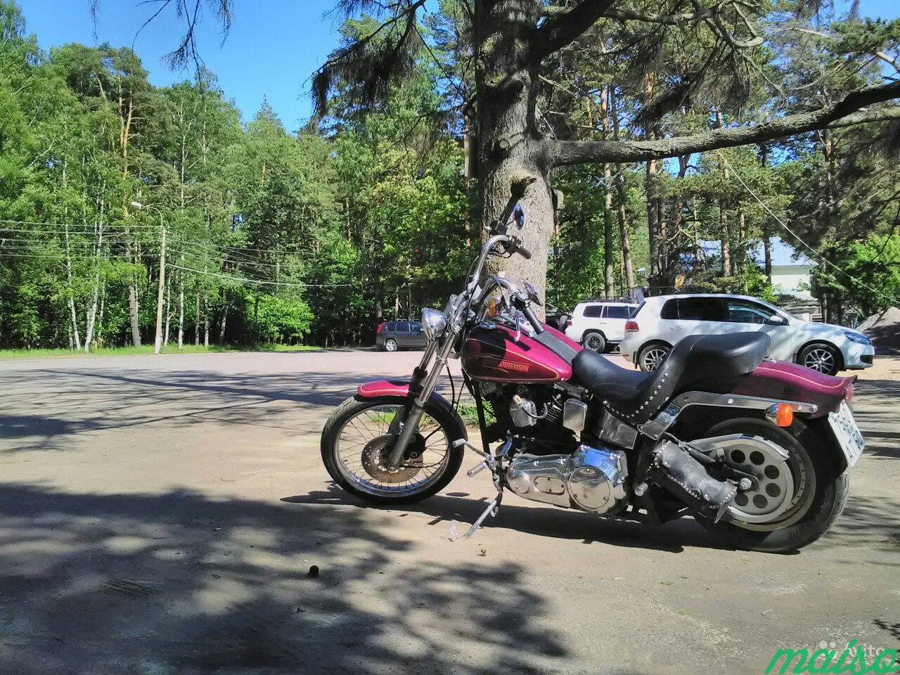Harley Davidson Softail Custom fxstc 91 в Санкт-Петербурге. Фото 1