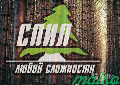 Спил,снос деревьев любой сложности. Демонтаж в Санкт-Петербурге. Фото 1