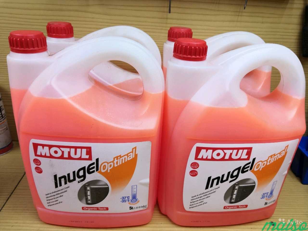 Антифриз motul inugel optimal 5 л в Санкт-Петербурге. Фото 1