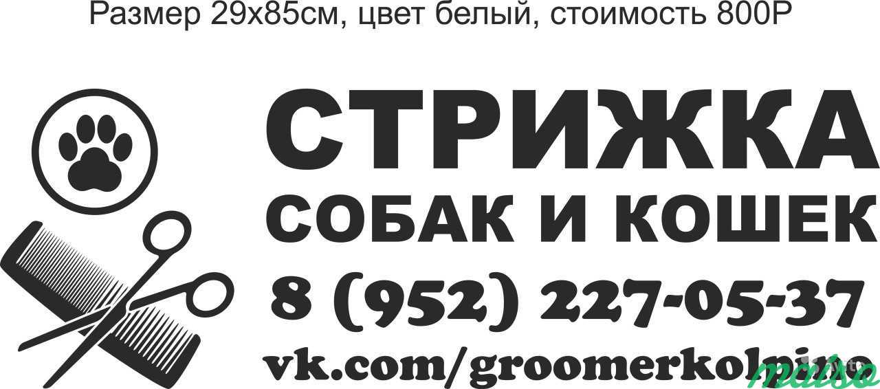 Реклама на ваше авто в Санкт-Петербурге. Фото 5