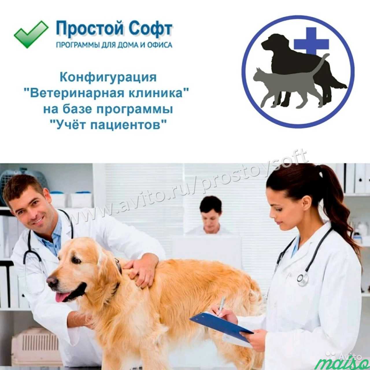 Конфигурация Ветеринарная клиника в Санкт-Петербурге. Фото 1