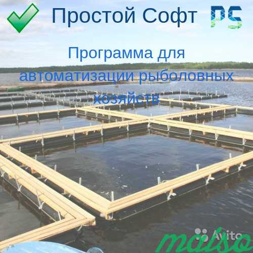 Программа для учёта на рыболовной ферме в Санкт-Петербурге. Фото 2