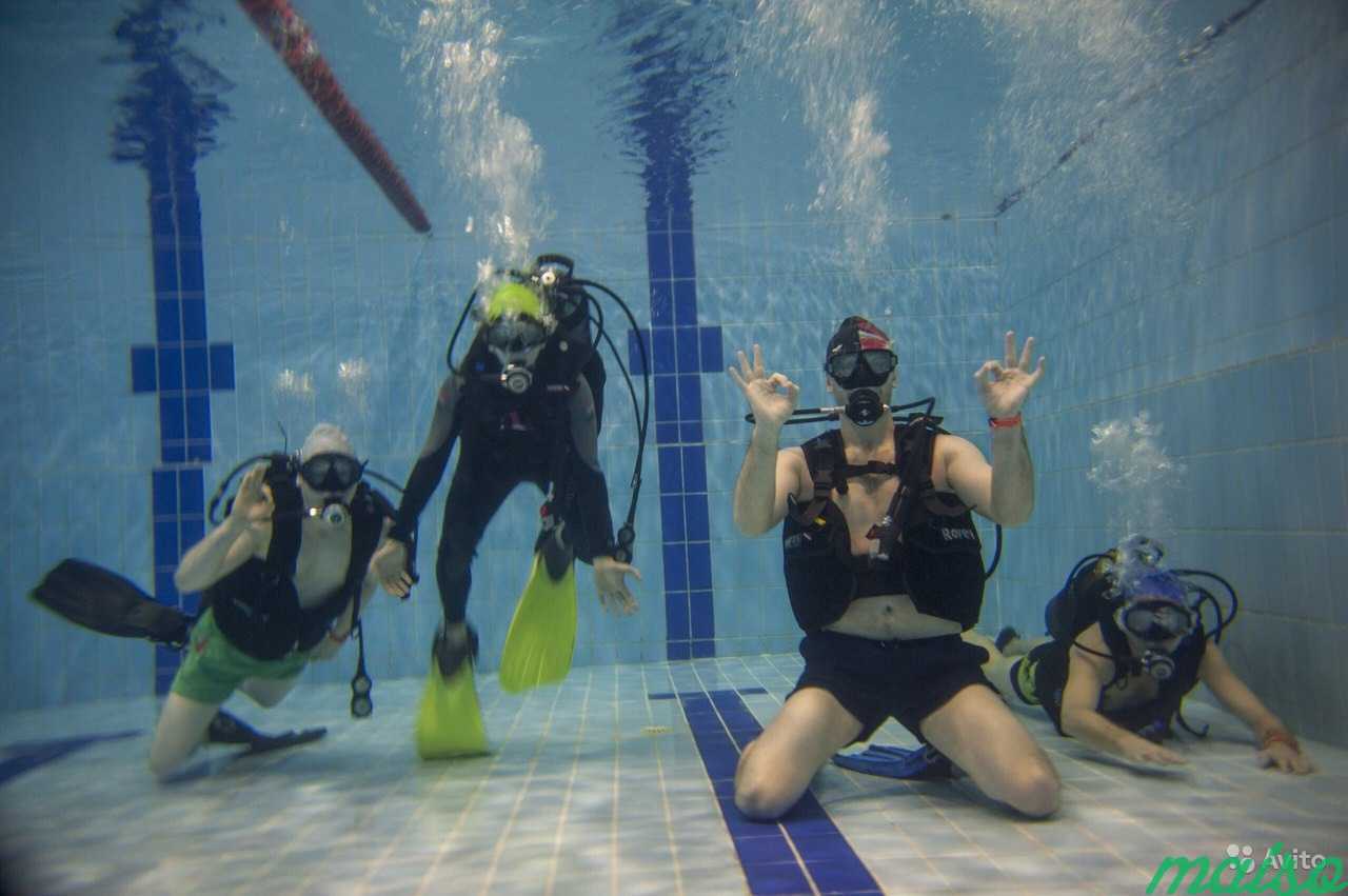 Дайвинг Diving cmas 1* в Санкт-Петербурге. Фото 1