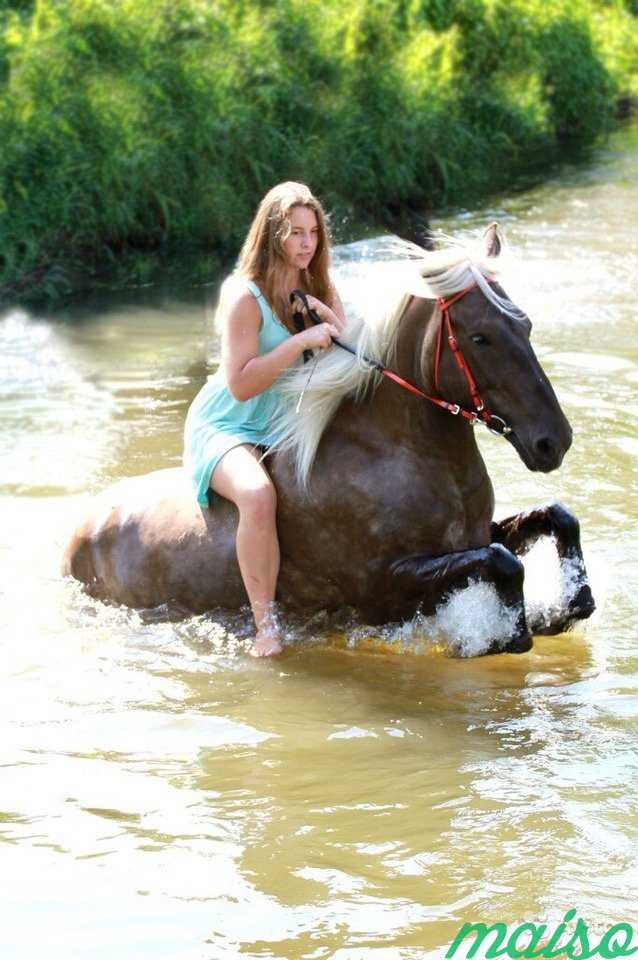 Верховая езда спб. Купание верхом. Купание лошадей женщины. Девушки купание на лошадях. Девушки купаются верхом на лошадях.