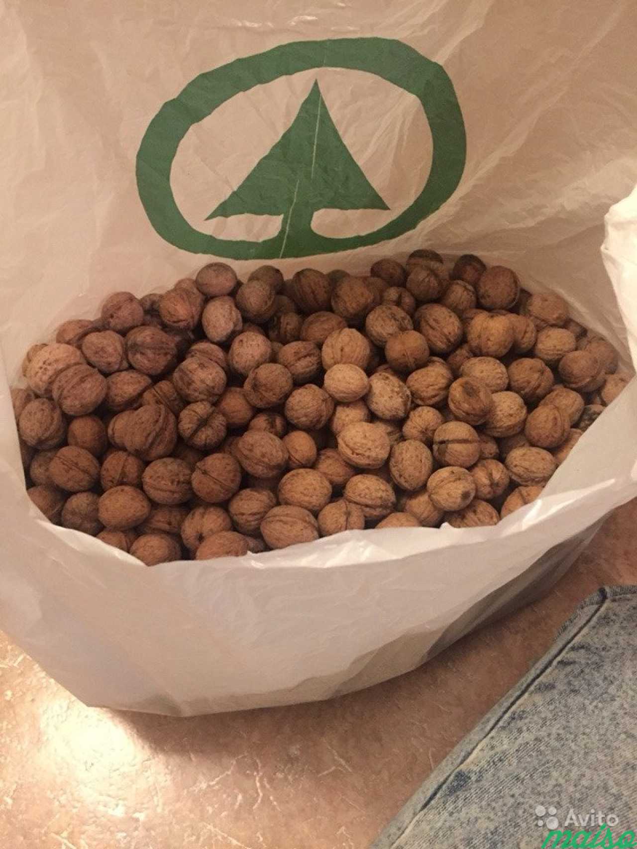 Орехи купить 5 кг