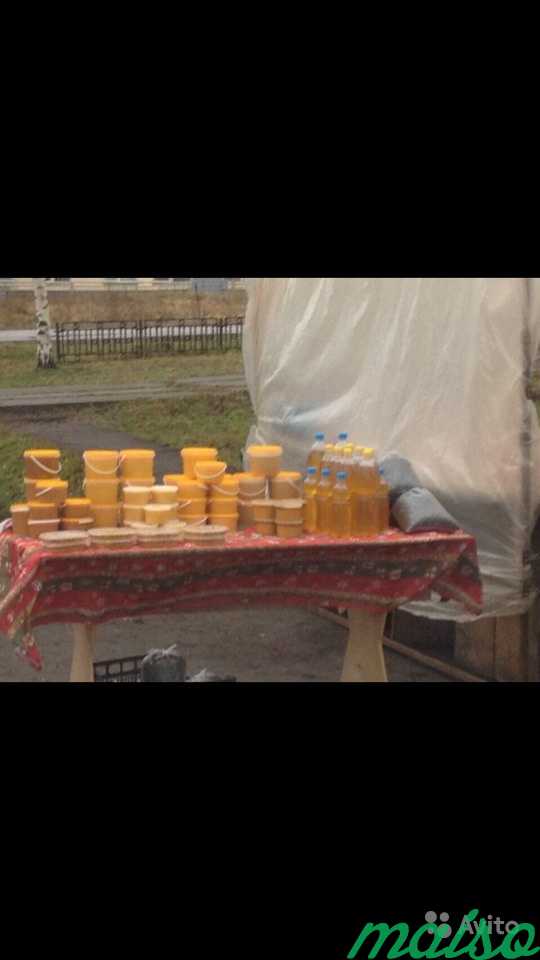 Мёд разнотравье в Санкт-Петербурге. Фото 3