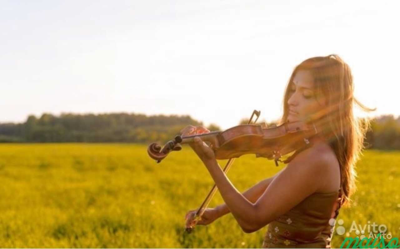 Живо для скрипача. Эротическая фотосессия со скрипкой. Живая музыка на поле. Живая скрипка