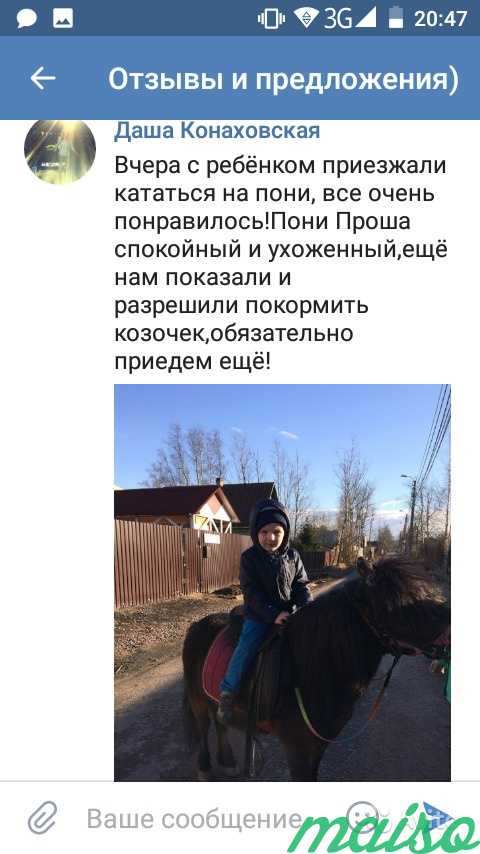Катание на лошадях в Санкт-Петербурге. Фото 2