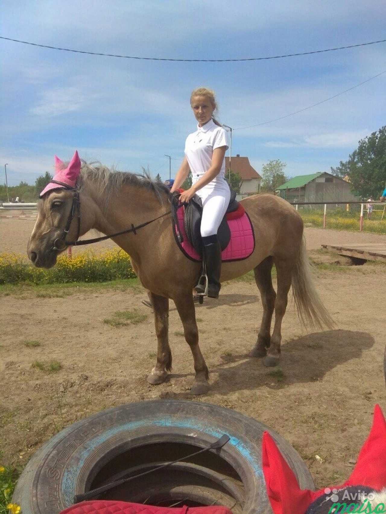 Катание на лошадях в Санкт-Петербурге. Фото 5