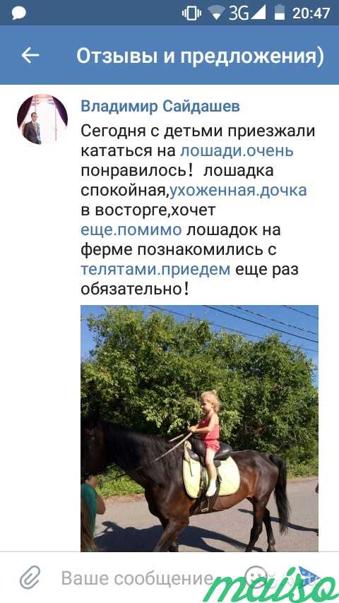 Катание на лошадях в Санкт-Петербурге. Фото 3