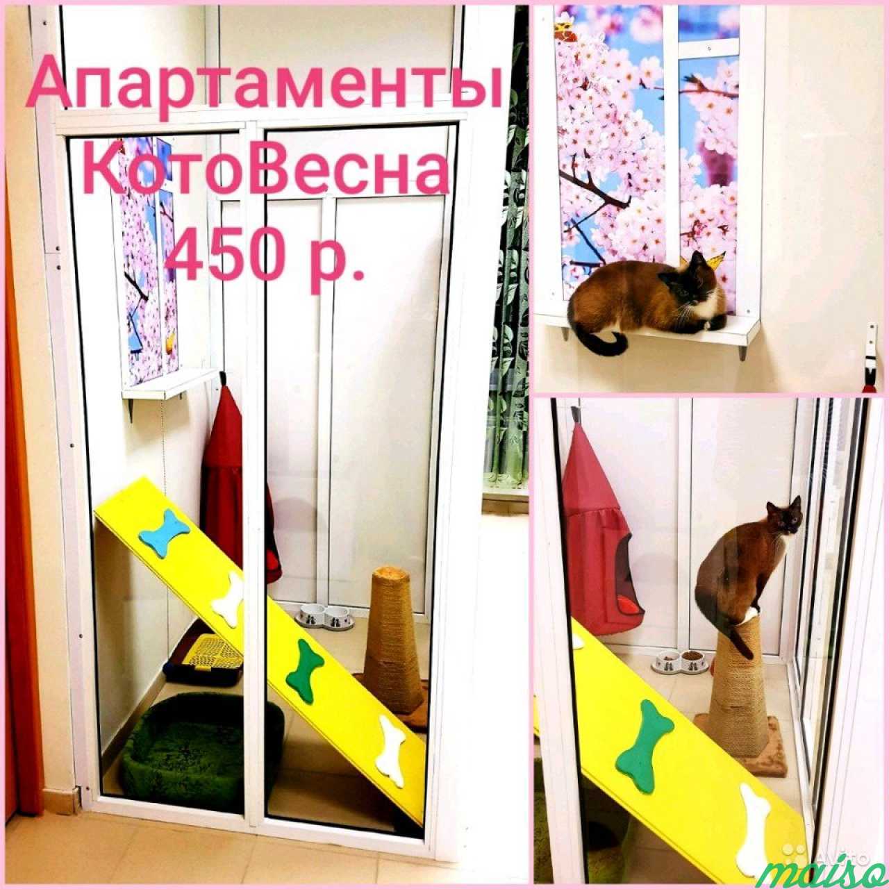Уютная Зоогостиница для Кошек и мелких грызунов в Санкт-Петербурге. Фото 2