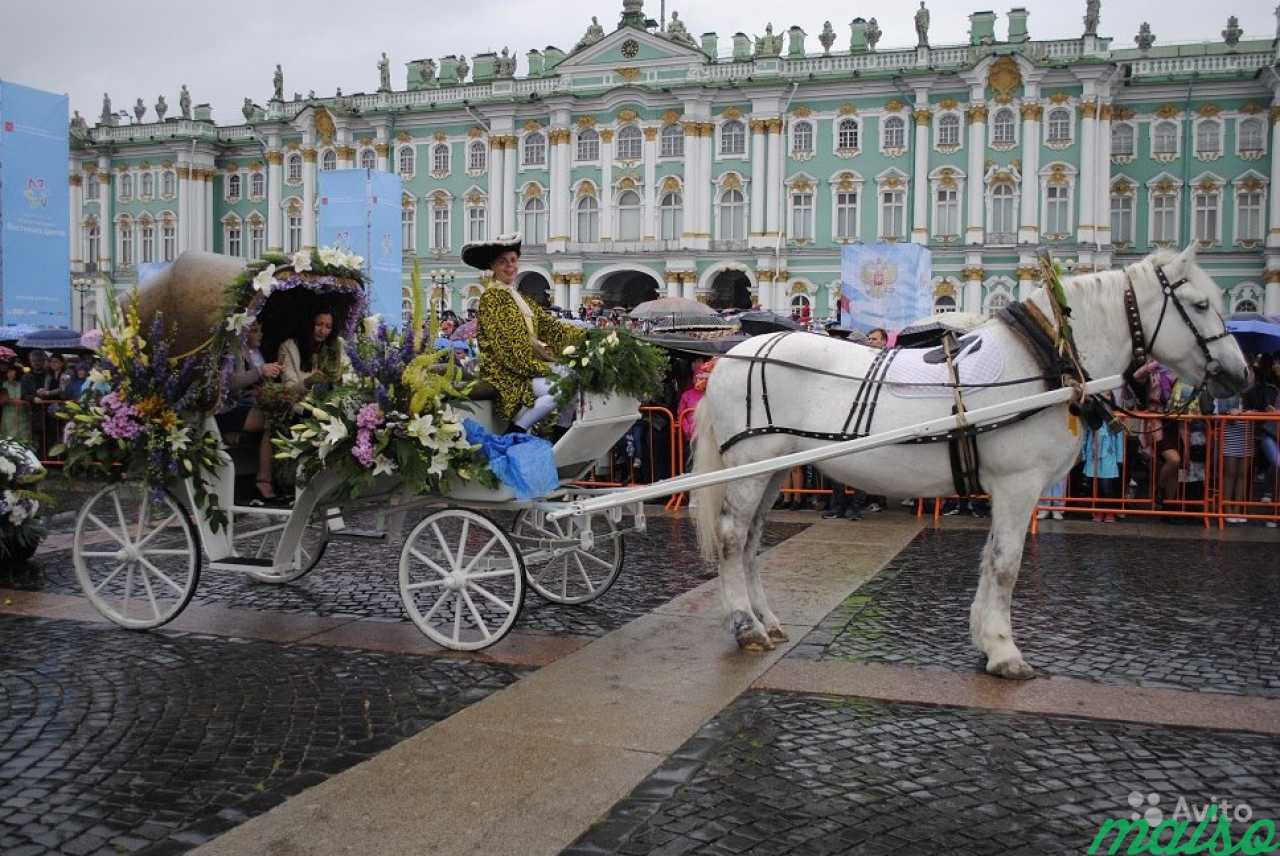 Свадебная карета с лошадьми