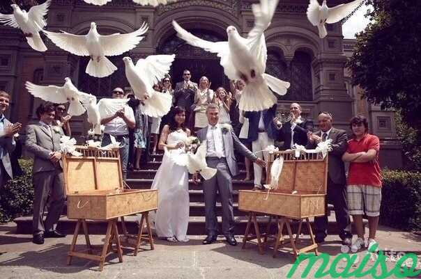 Голуби на свадьбу в Санкт-Петербурге. Фото 5
