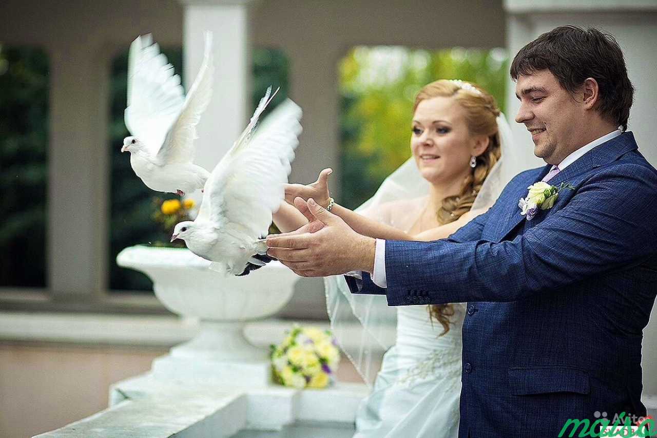 Голуби на свадьбу в Санкт-Петербурге. Фото 7
