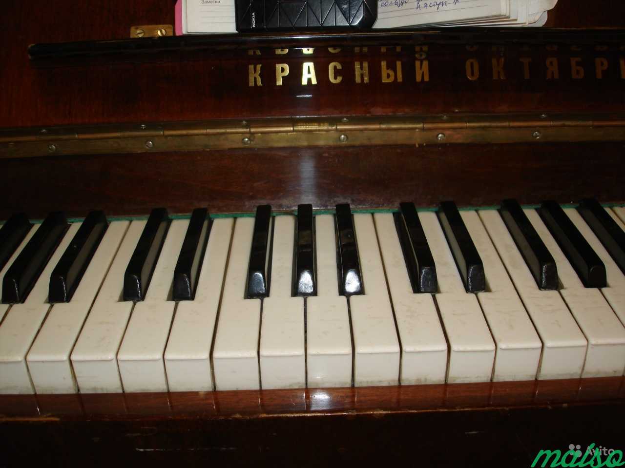 Уроки фортепиано, сольфеджио,вокала в Санкт-Петербурге. Фото 1