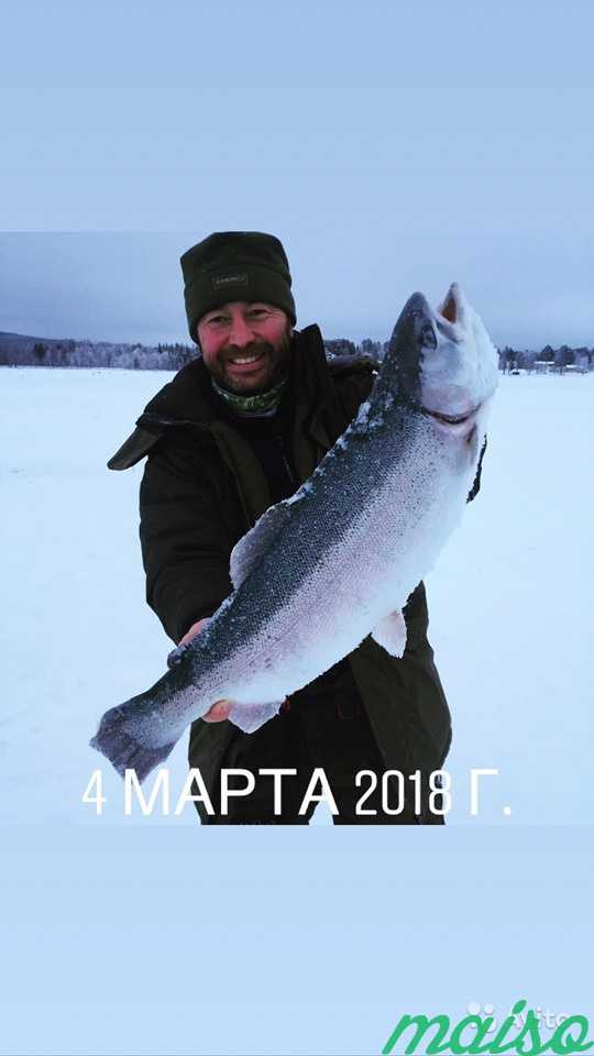 Рыбалка Швеция Сторуман в Санкт-Петербурге. Фото 1