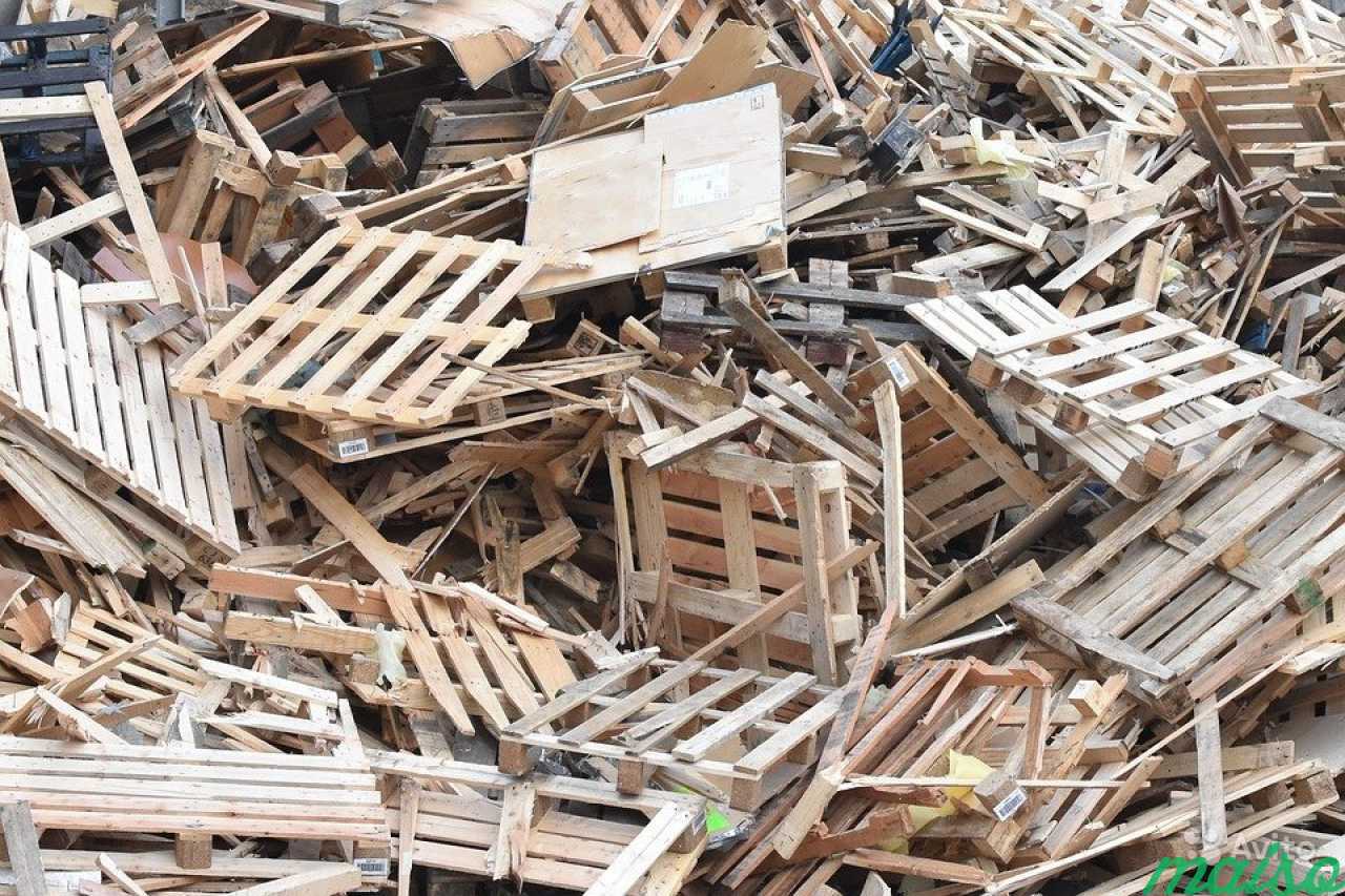 Прием древесных отходов, порубочных остатков в Санкт-Петербурге. Фото 1