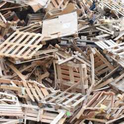 Прием древесных отходов, порубочных остатков