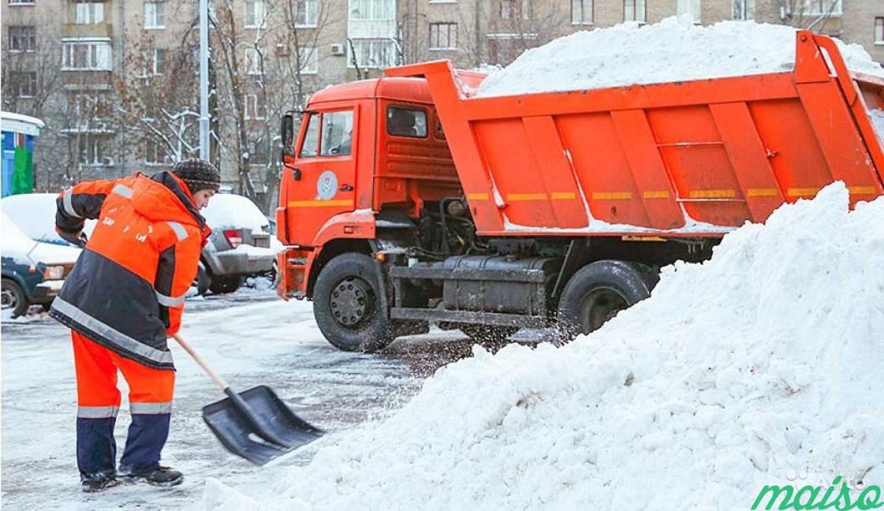 Уборка и вывоз снега в Санкт-Петербурге. Фото 3