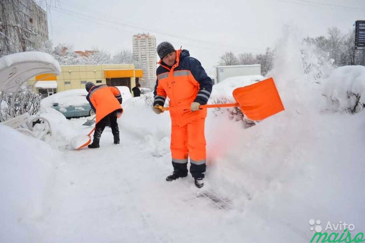 Уборка и вывоз снега в Санкт-Петербурге. Фото 1
