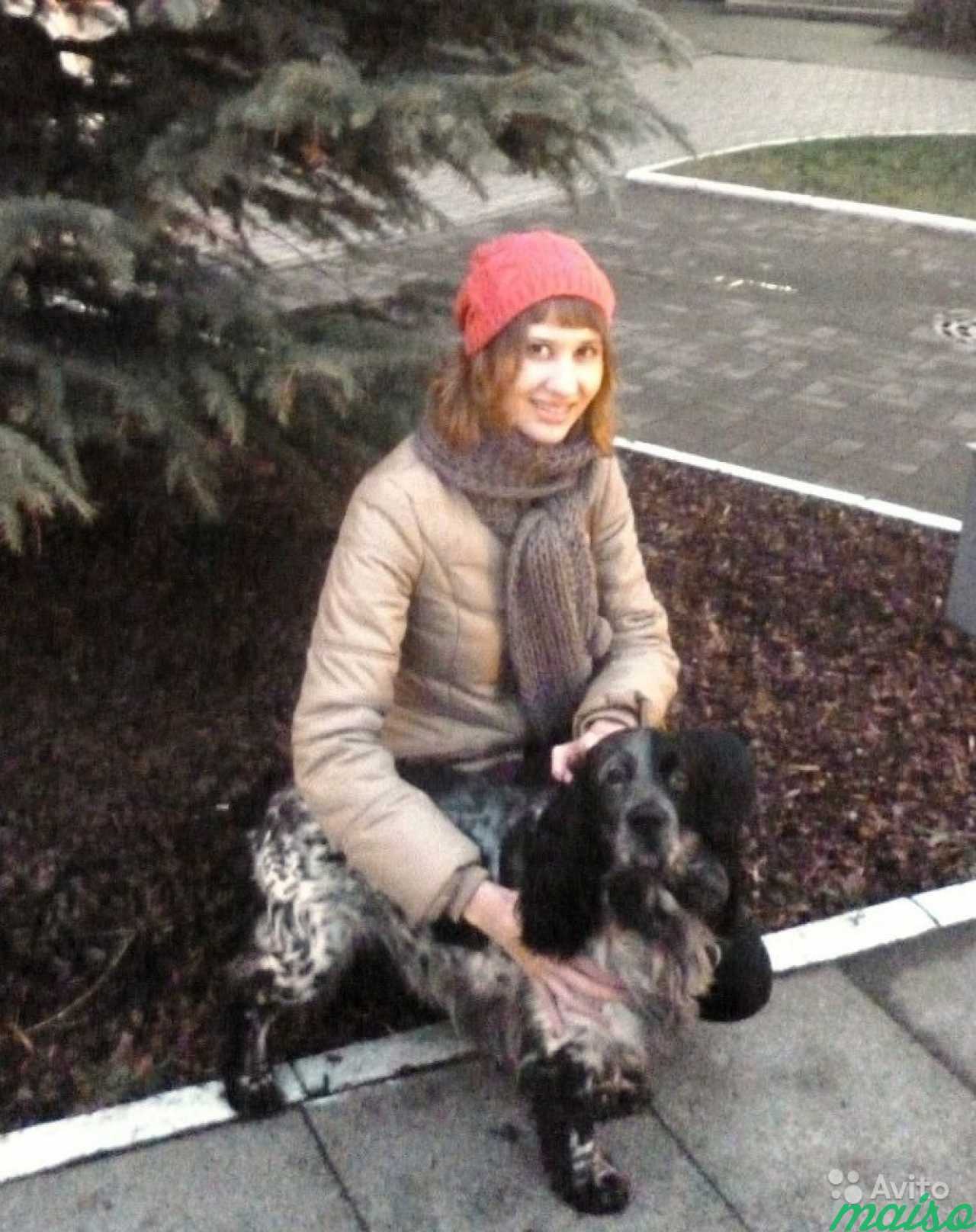 Выгул, кормление кошек/собак. Выборгский район в Санкт-Петербурге. Фото 2