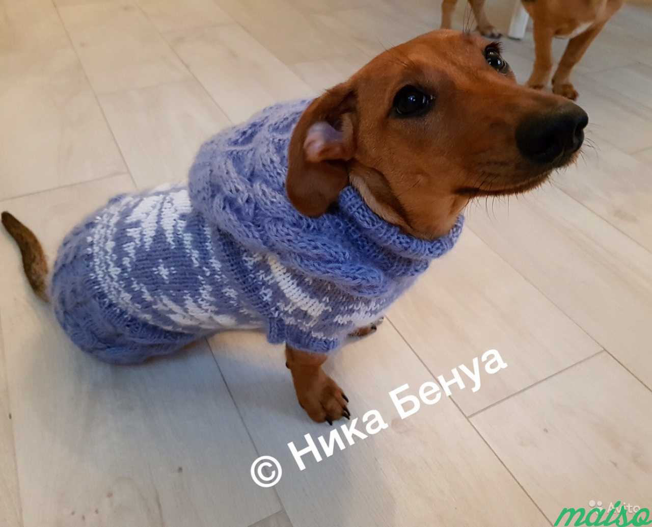 Вязание одежды для собак в Санкт-Петербурге. Фото 5
