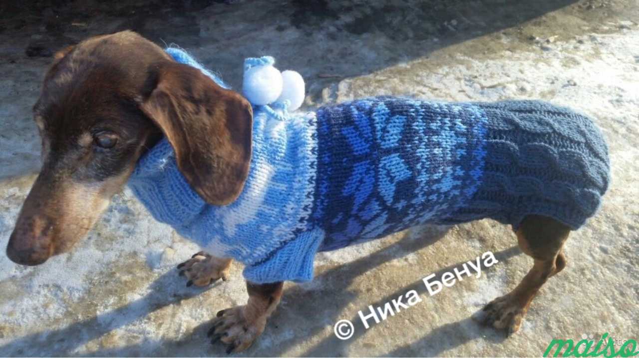 Вязание одежды для собак в Санкт-Петербурге. Фото 8