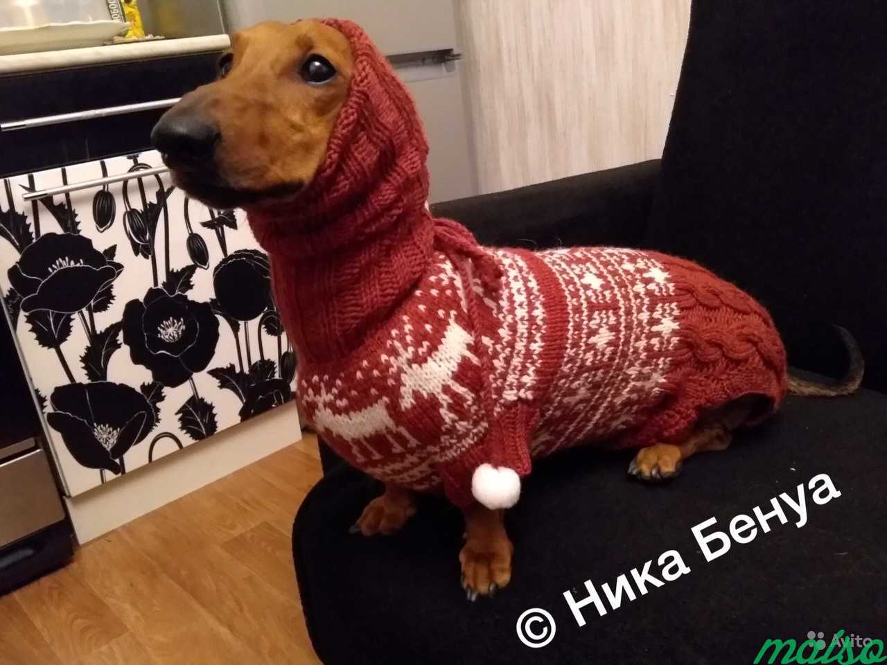 Вязание одежды для собак в Санкт-Петербурге. Фото 7