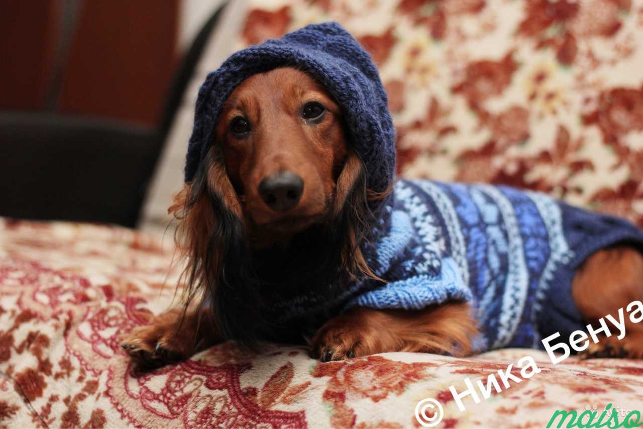Вязание одежды для собак в Санкт-Петербурге. Фото 2