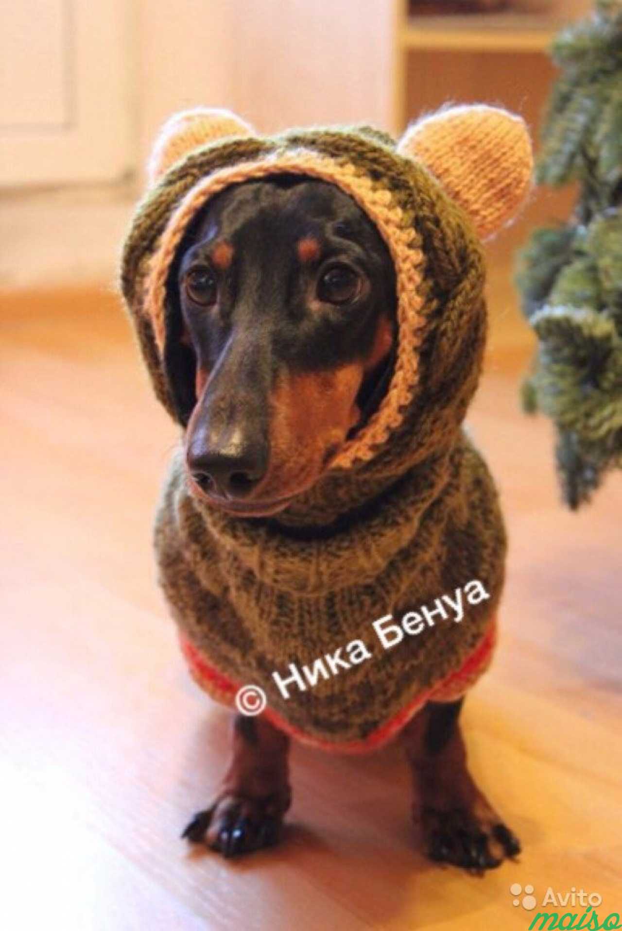 Вязание одежды для собак в Санкт-Петербурге. Фото 1